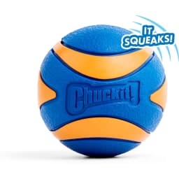 Chuckit! Ultra Squeaker Ball Dog Toy, Large