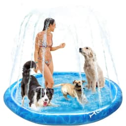 Chill Out Sprinkler Fun Mat Dog Toy, Large
