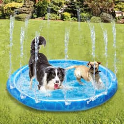 Chill Out Sprinkler Fun Mat Dog Toy, Medium