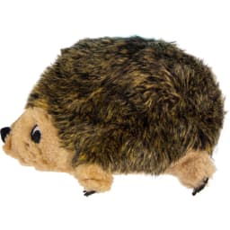 Outward Hound HedgehogZ Squeaky Plush Dog Toy, Medium