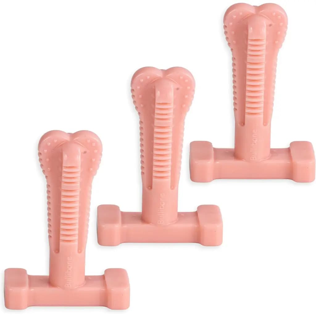 Superbrush Peppermint Flavor Dog Chew Toy, Small, 3 count