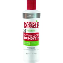Dog Stain & Odor Remover, 16-oz bottle