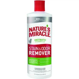 Dog Stain & Odor Remover, 24-oz bottle