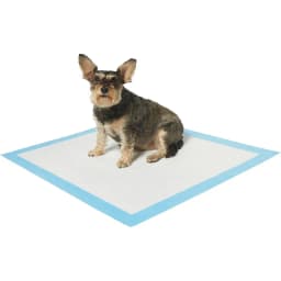 Frisco X-Large Premium Dog Training & Potty Pads, 28 x 34-in, Unscented, 10 count