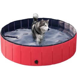 Foldable Outdoor Hard Plastic Dog & Cat Swimming Pool, Red, Large
