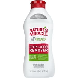 Dog Stain & Odor Remover, 16-oz bottle