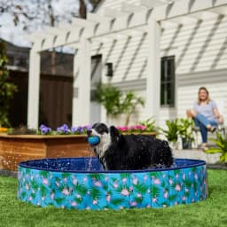 Frisco Outdoor Dog Swimming Pool, Flamingo, XX-Large