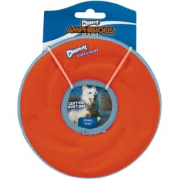 Zipflight Disc Dog Toy, Color Varies, Small