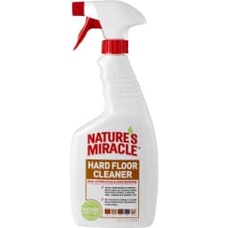 Dual Action Hard Floor Stain & Odor Remover, 24-oz bottle
