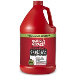 Advanced Stain & Odor Remover, 1-gal