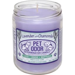 Lavender Deodorizing Candle, 13-oz jar