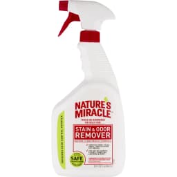 Stain & Odor Remover, 32-oz spray bottle
