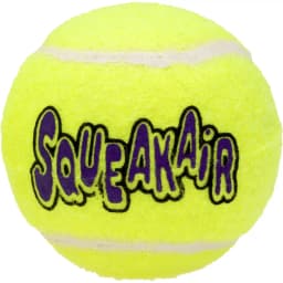 KONG AirDog Squeakair Ball Dog Toy, Medium