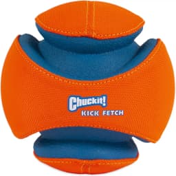 Kick Fetch Ball Dog Toy, Small