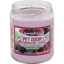 Mulberry Spice Deodorizing Candle, 13-oz jar
