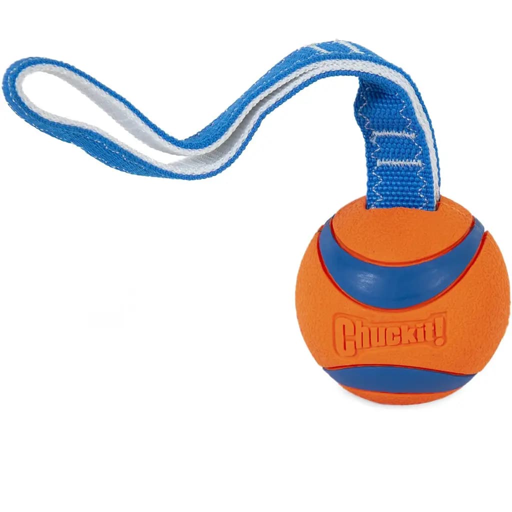 Chuckit! Ultra Tug Ball Tough Dog Toy, Large
