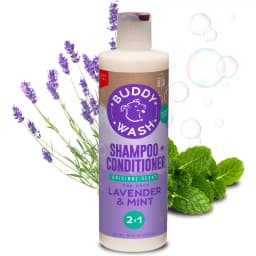 Buddy Wash Original Lavender & Mint Dog Shampoo & Conditioner, 16-fl oz bottle, bundle of 2