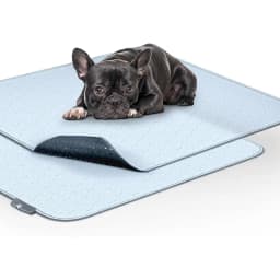 Paw Inspired Washable Dog Pee Pads, 2 count, 34-in x 36-in