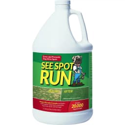 See Spot Run Dog Urine Grass Saver, 128-fl oz bottle