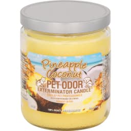 Pineapple Coconut Deodorizing Candle, 13-oz