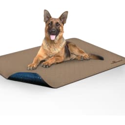 Paw Inspired Washable Dog Pee Pads, 48 x 60-in, 1 count, Unscented