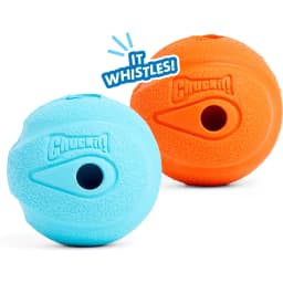 The Whistler Ball Dog Toy, Color Varies, Medium, 2 pack