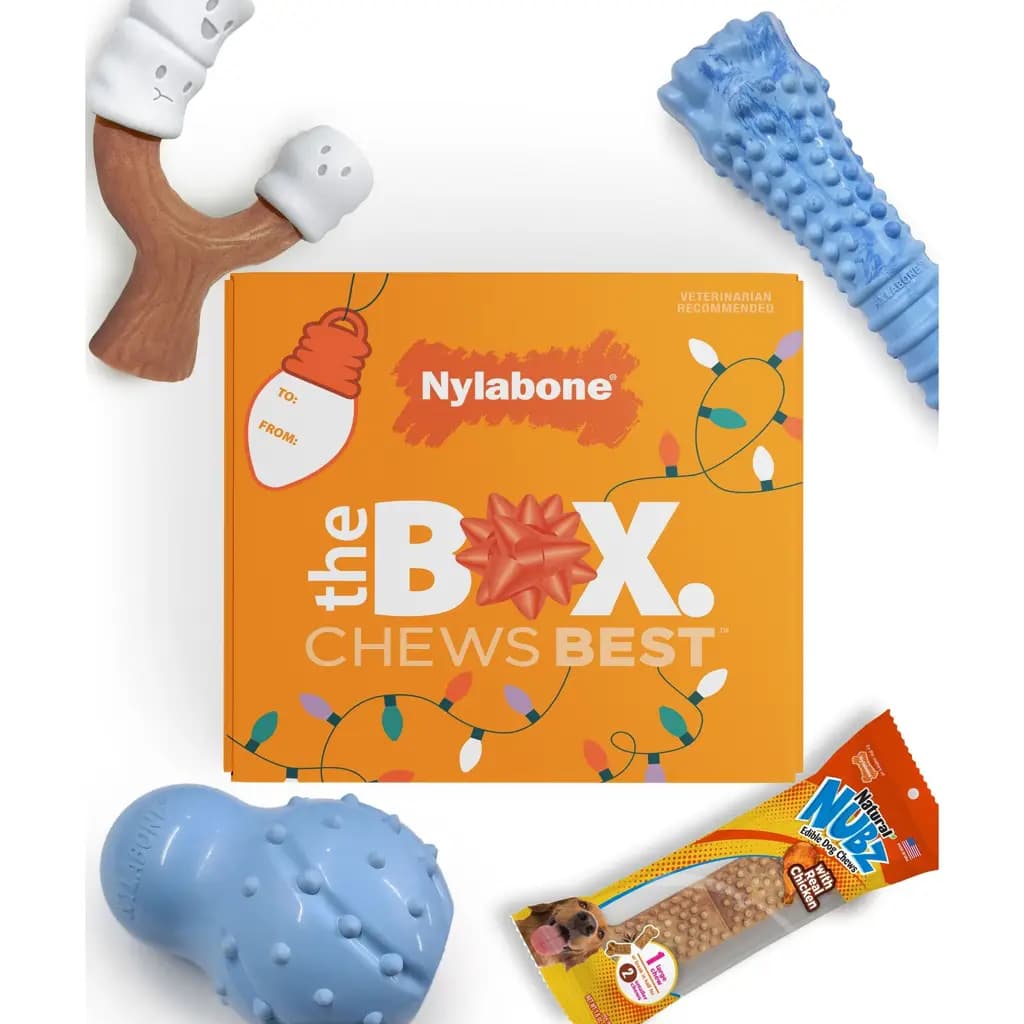 Nylabone Holiday Toys & Treat Large Dog Gift Box