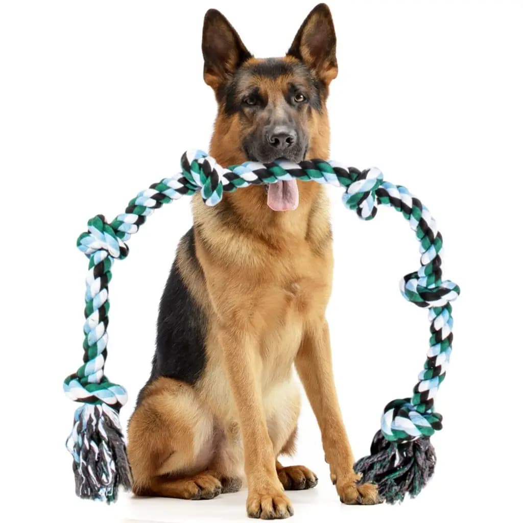 Pacific Pups Rescue Knotted Rope Tug Dog Toy, Blue, XX-Large