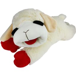 Lamb Chop Squeaky Plush Dog Toy, Jumbo