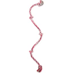 Cottonblend 5 Knot Dog Rope Toy, Color Varies, XX-Large