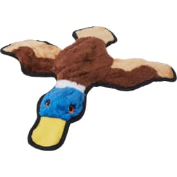 Duck Stuffing-Free Flat Plush Squeaky Dog Toy, Large/X-Large