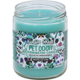 Sugar Skull Deodorizing Candle, 13-oz jar