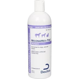 Shampoo for Dogs & Cats, 16-fl oz bottle