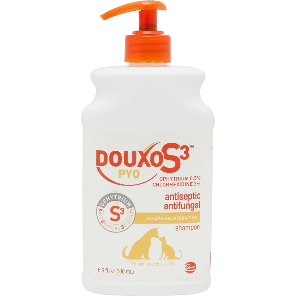 PYO Antiseptic Antifungal Chlorhexidine Dog & Cat Shampoo, 16.9-oz bottle