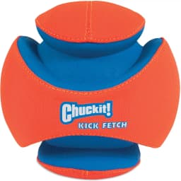 Kick Fetch Ball Dog Toy, Large