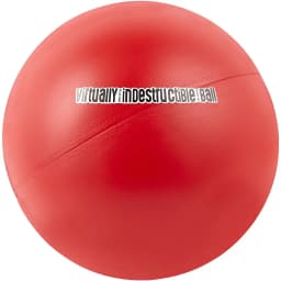 The Virtually Indestructible Ball Dog Toy, Color Varies, 10-in