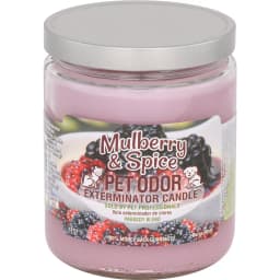 Mulberry & Spice Deodorizing Candle, 13-oz jar