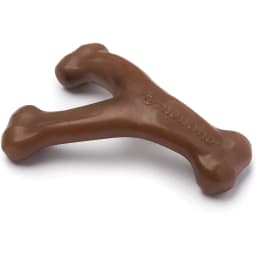 Peanut Butter Flavor Wishbone Tough Dog Chew Toy, Small