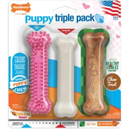 Nylabone Puppy Chew Variety Toy & Treat Triple Pack Pink, Small