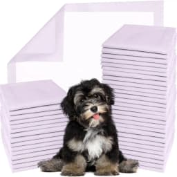 Disposable Lavender Scented Dog & Cat Pee Pads, 100 count