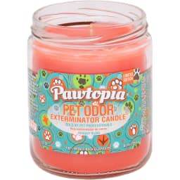 Pawtopia Deodorizing Dog & Cat Candle, 13-oz jar