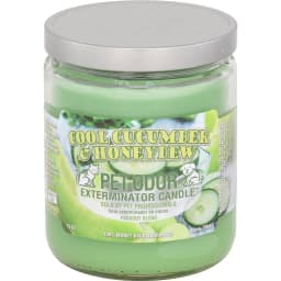 Cool Cucumber & Honeydew Candle, 13-oz