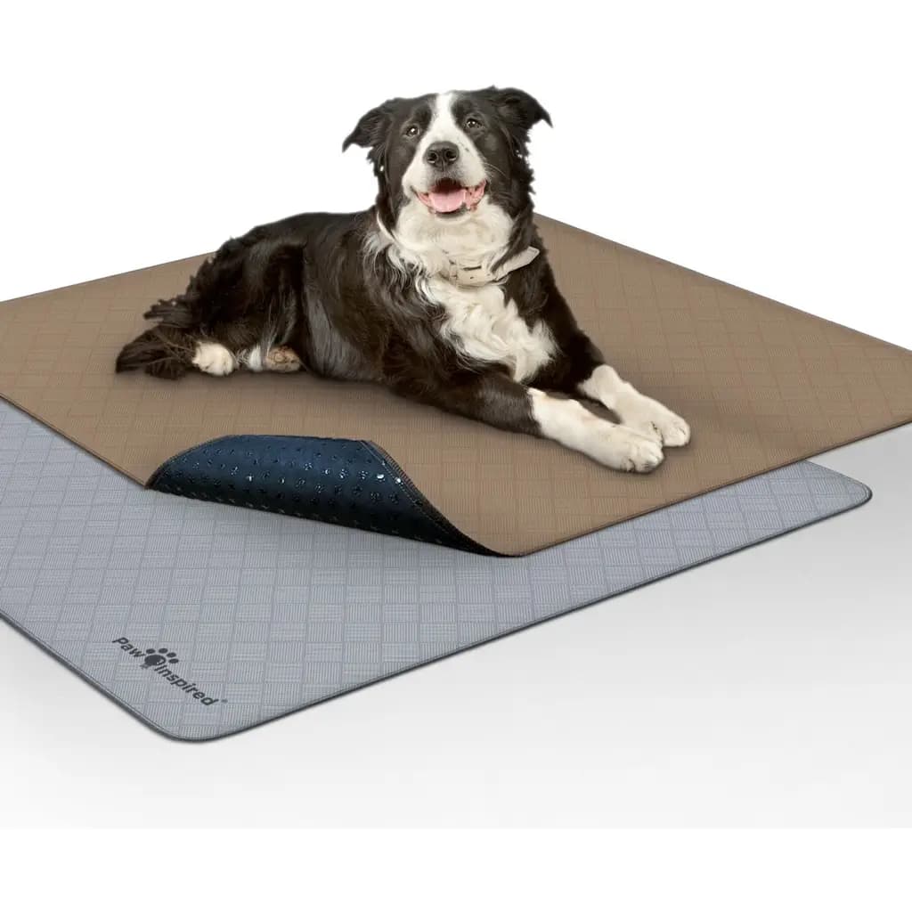 Paw Inspired Washable Dog Pee Pads, 41 x 41-in, 2 count, Unscented