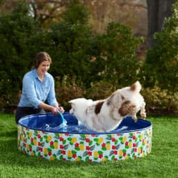 Frisco Outdoor Dog Swimming Pool, Hawaiian Print, X-Large