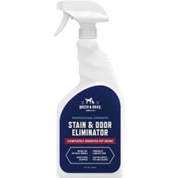 Professional Strength Pet Stain & Odor Eliminator, 24-fl oz spray