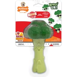 Nylabone Power Chew Broccoli Dog Toy Bacon Cheese, Large