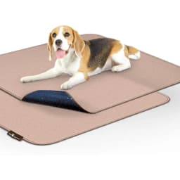 Paw Inspired Washable Dog Pee Pads, 2 count, 30-in x 32-in