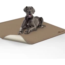 Paw Inspired Washable Dog Pee Pads, 72 x 72-in, 1 count, Unscented