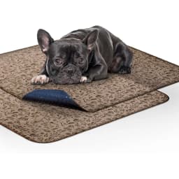 Paw Inspired Washable Dog Pee Pads, 32 x 30-in pattern, 2 count, Unscented