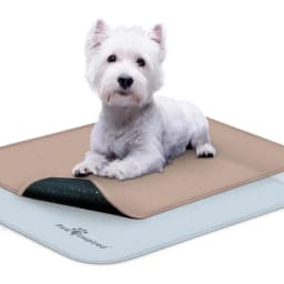 Paw Inspired Washable Dog Pee Pads, 24 inch x 18, 2 count
